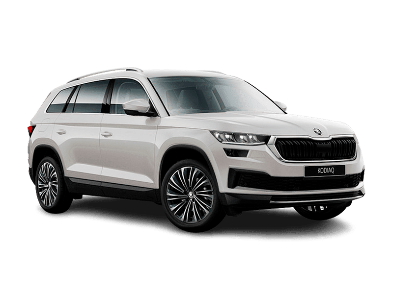 Купить Skoda Kodiaq в Омске - Серебристый